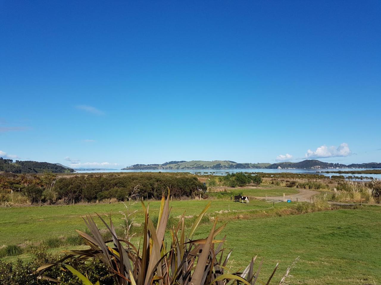 ホテルThe Little Farm Coromandel エクステリア 写真